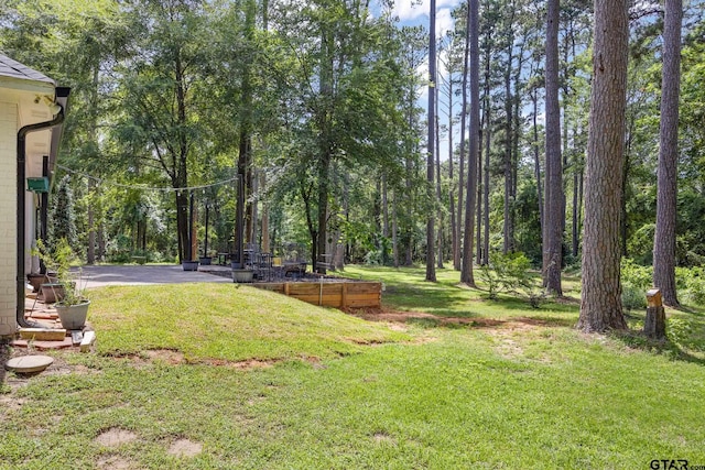 18406 Clear Lk, Flint, TX 75762 - photo 33