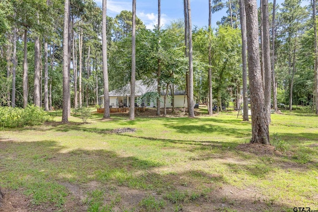 18406 Clear Lk, Flint, TX 75762 - photo 35
