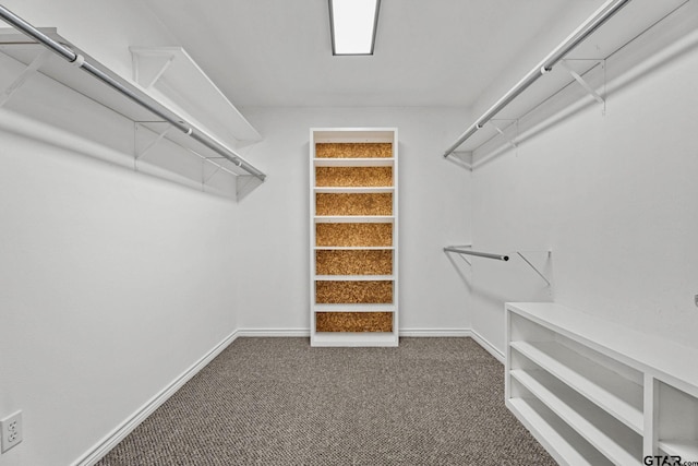 15479 Nell Lynn Ln, Tyler, TX 75707 - walk in closet featuring carpet