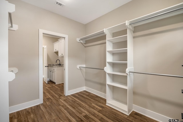 14524 Woodland Creek Dr, Tyler, TX 75706 - spacious closet featuring dark wood-style flooring and a sink