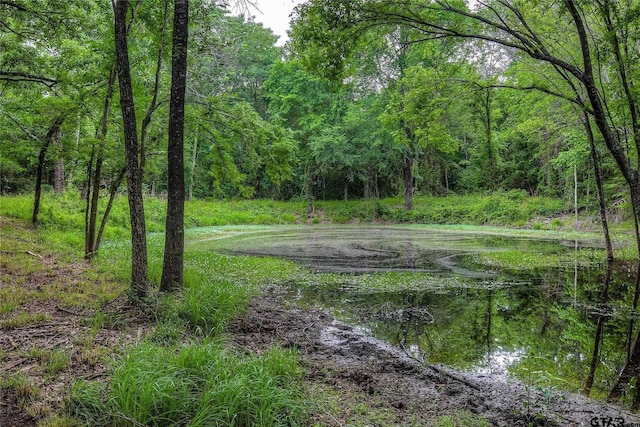313 County Road 1442, Sulphur Springs, TX 75482 - view of tree filled area