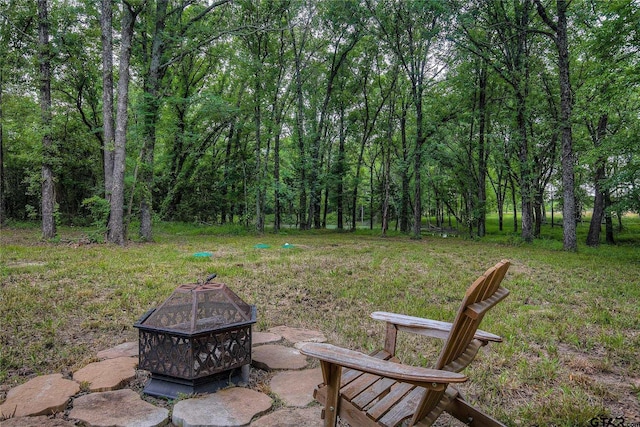 313 County Road 1442, Sulphur Springs, TX 75482 - view of yard with an outdoor fire pit