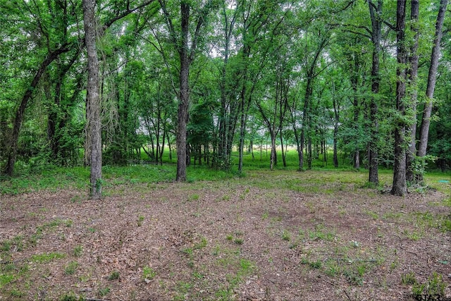 313 County Road 1442, Sulphur Springs, TX 75482 - view of wooded area
