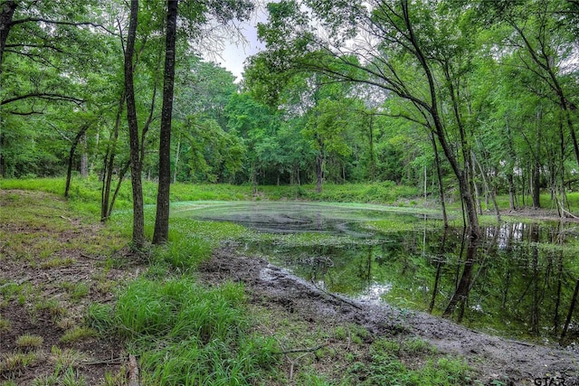 313 County Road 1442, Sulphur Springs, TX 75482 - view of wooded area
