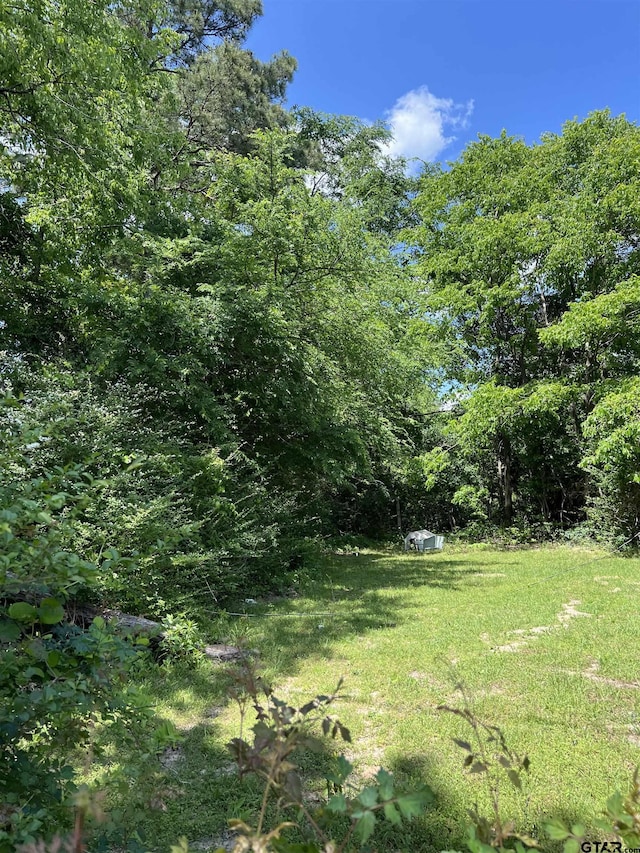 view of yard with a view of trees