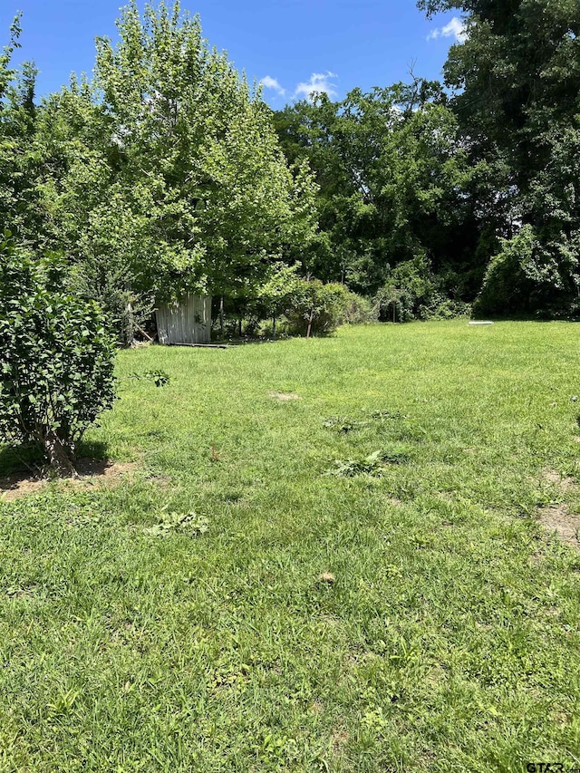 view of yard featuring an outbuilding and a storage shed