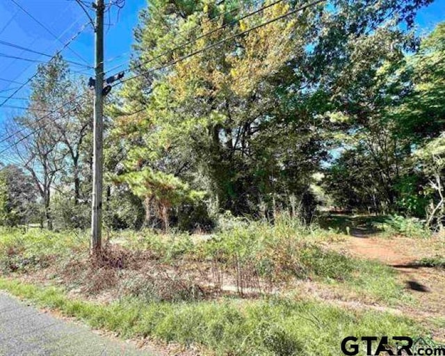 Listing photo 3 for TBD Carpenter St, Daingerfield TX 75638