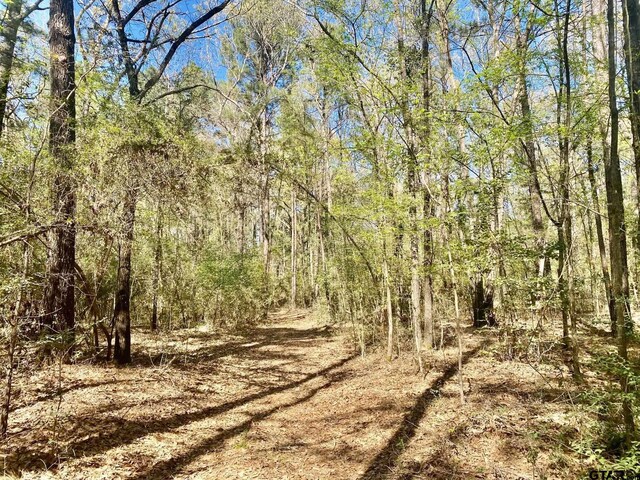 TBD Cr 2130, Crockett, TX 75835