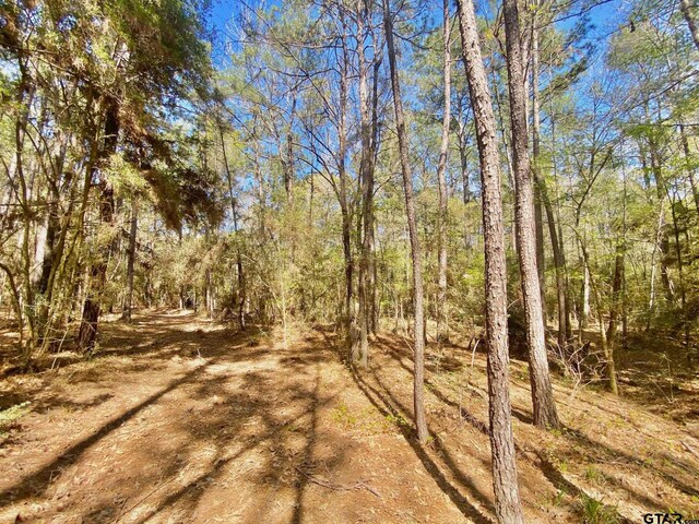 TBD Cr 2130, Crockett, TX 75835