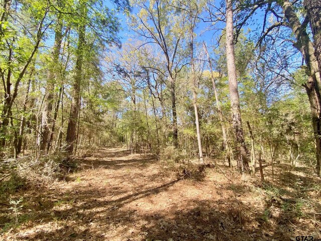 TBD Cr 2130, Crockett, TX 75835
