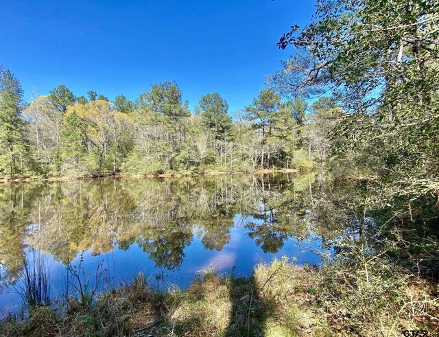 TBD Cr 2130, Crockett, TX 75835