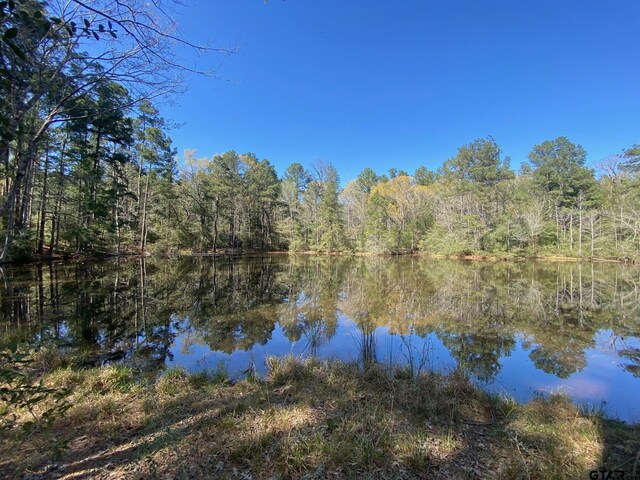 TBD Cr 2130, Crockett, TX 75835