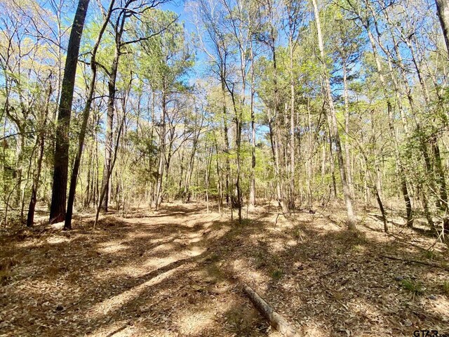 TBD Cr 2130, Crockett, TX 75835