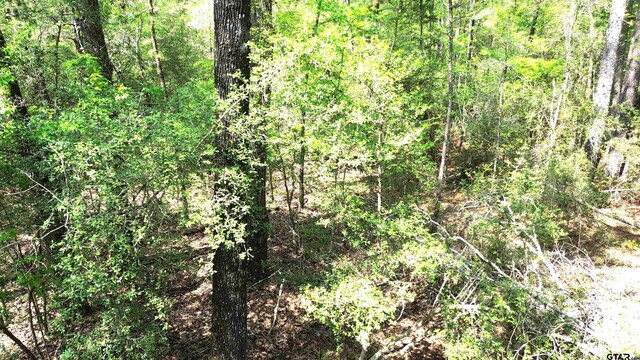 TBD Cr 2130, Crockett, TX 75835