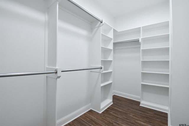 walk in closet with dark wood-type flooring