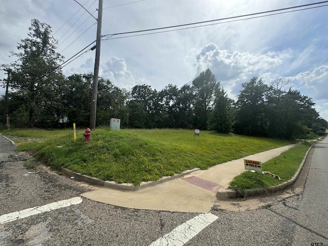 3328 W Erwin St, Tyler, TX 75702 - photo 6