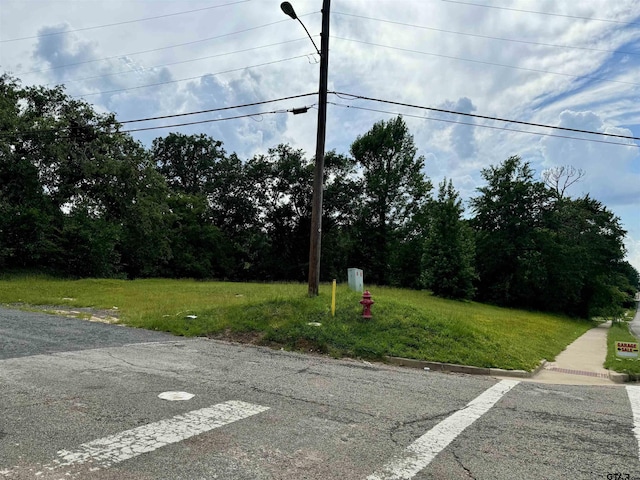 3328 W Erwin St, Tyler, TX 75702 - photo 3