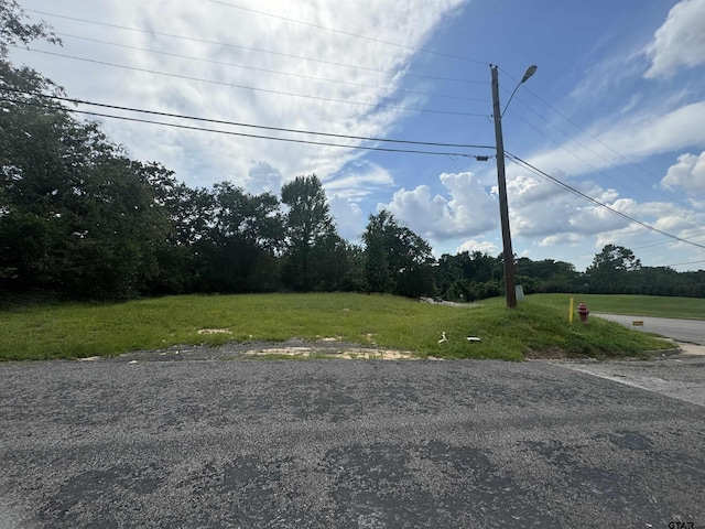 3328 W Erwin St, Tyler, TX 75702 - photo 2