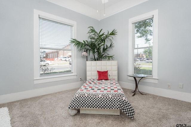 bedroom featuring ornamental molding, multiple windows, and carpet flooring