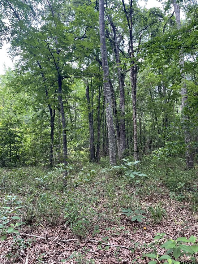 TBD Geranium Rd, Ore City, TX 75683 - photo 4