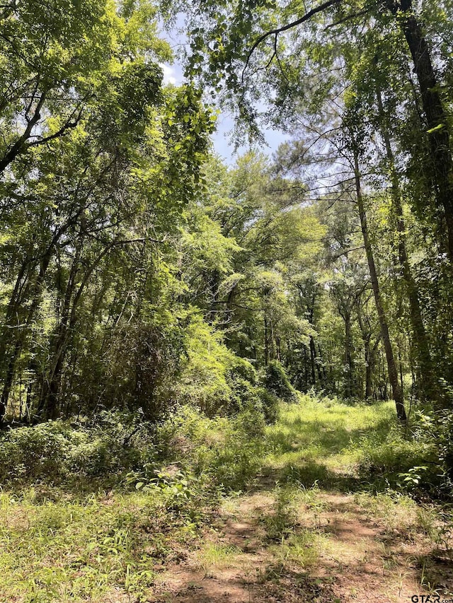 TBD Geranium Rd, Ore City, TX 75683 - photo 2