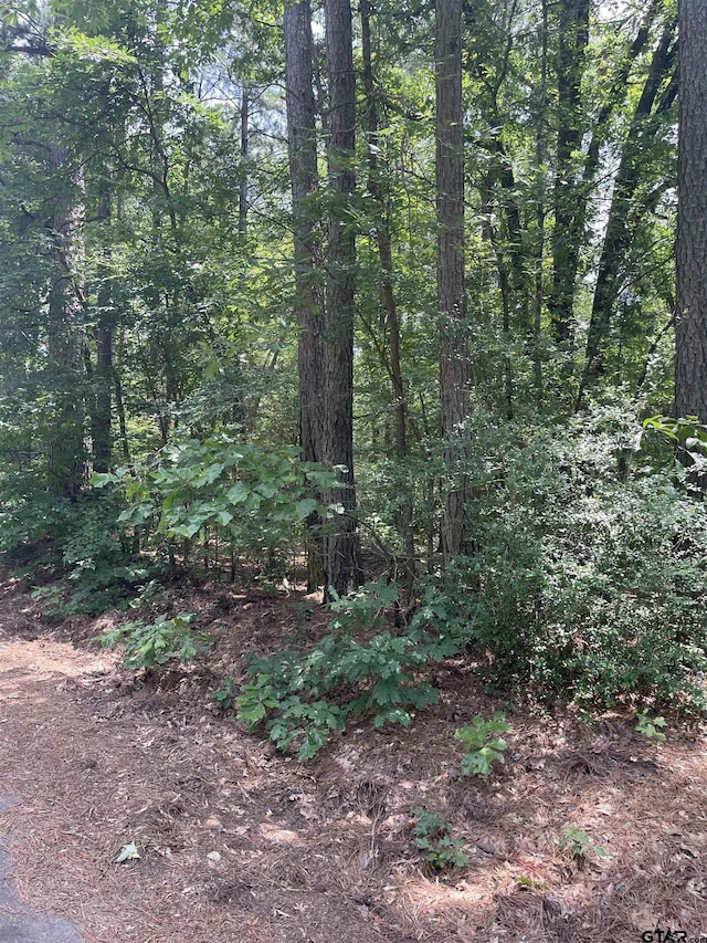 TBD Geranium Rd, Ore City, TX 75683 - photo 1