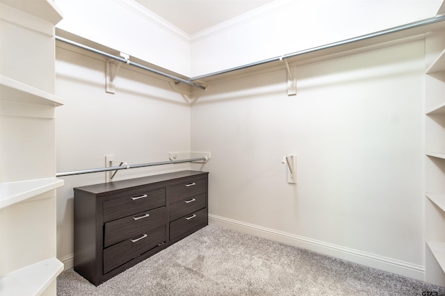 walk in closet featuring light colored carpet