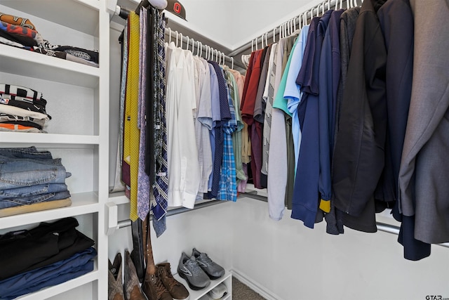 view of spacious closet
