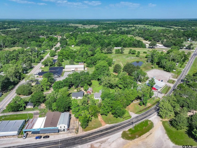 1498 Fm 279, Ben Wheeler, TX 75754 - view of property location with a forest and a large body of water