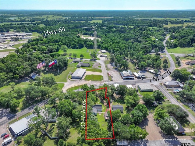1498 Fm 279, Ben Wheeler, TX 75754 - aerial view of property and surrounding area featuring property parcel outlined and a heavily wooded area