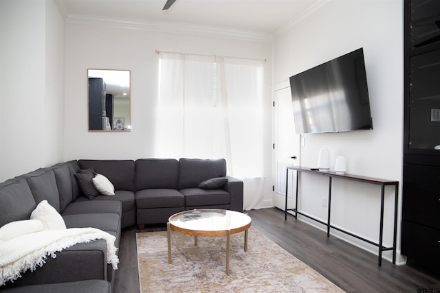 living room featuring hardwood / wood-style floors, plenty of natural light, and crown molding