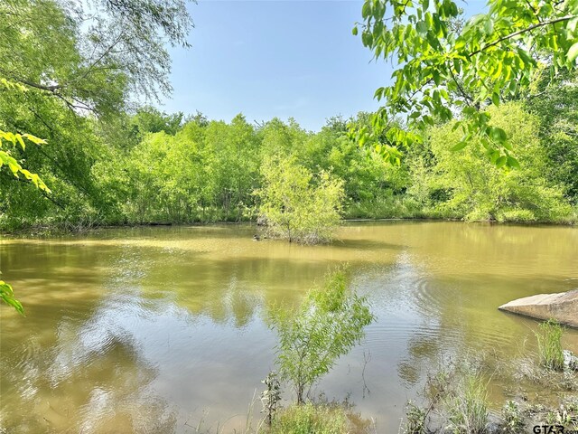 101 Taylor St, Como, TX 75431 - photo 3
