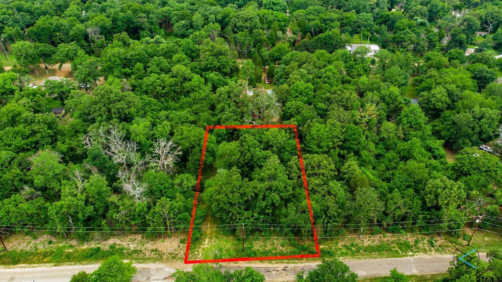 TBD Goliad, Malakoff, TX 75148 - photo 1