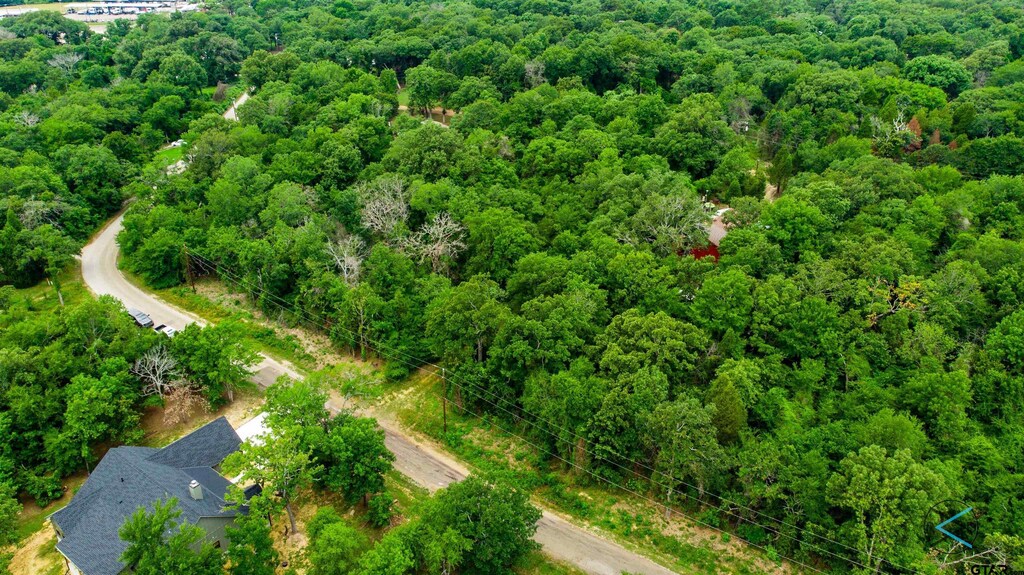 TBD Goliad, Malakoff, TX 75148 - photo 4