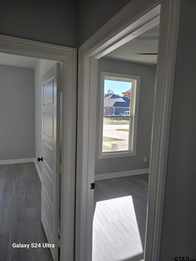 hall with dark wood-type flooring