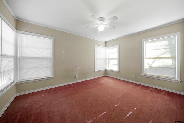 carpeted empty room with ceiling fan and ornamental molding