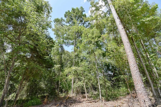 7933 Maple Ln, Tyler, TX 75703 - photo 8