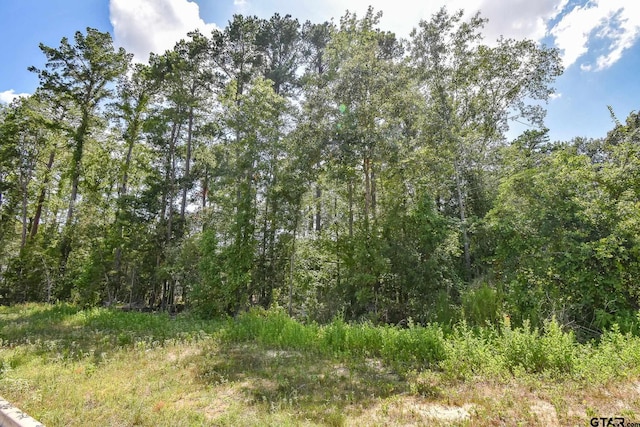 7933 Maple Ln, Tyler, TX 75703 - photo 3