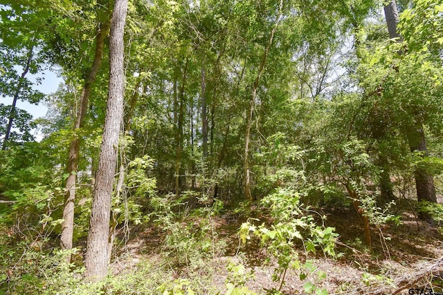 7933 Maple Ln, Tyler, TX 75703 - photo 6