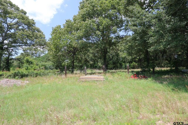 16525 Hailey Ct, Tyler, TX 75703 - photo 29
