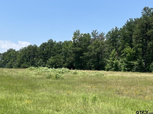 TBD5.306AC Cherokee Cove Dr, Jacksonville, TX 75766