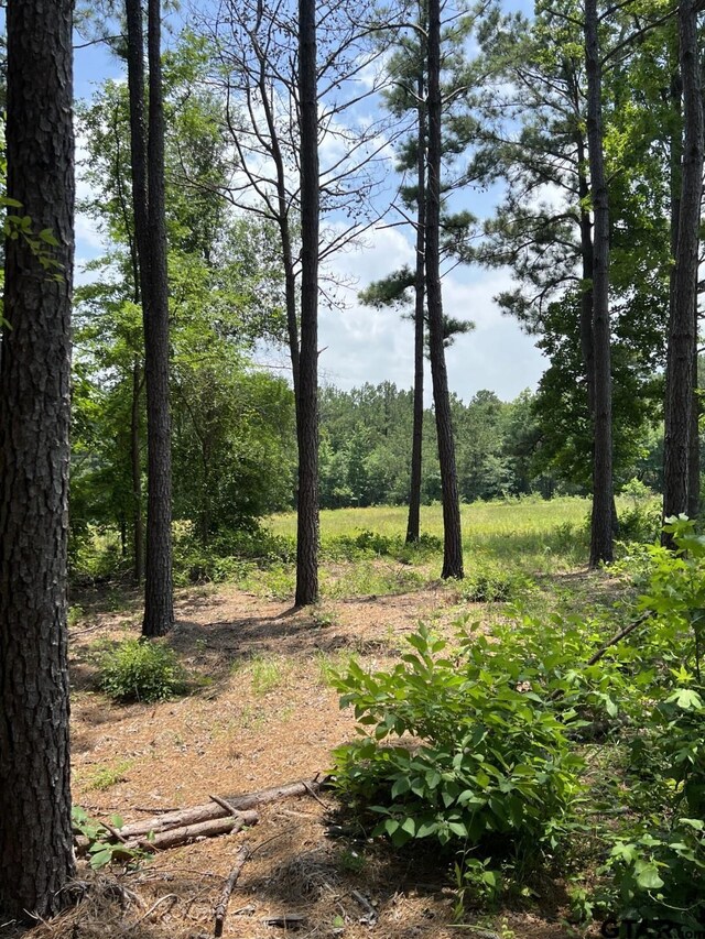 TBD5.306AC Cherokee Cove Dr, Jacksonville, TX 75766