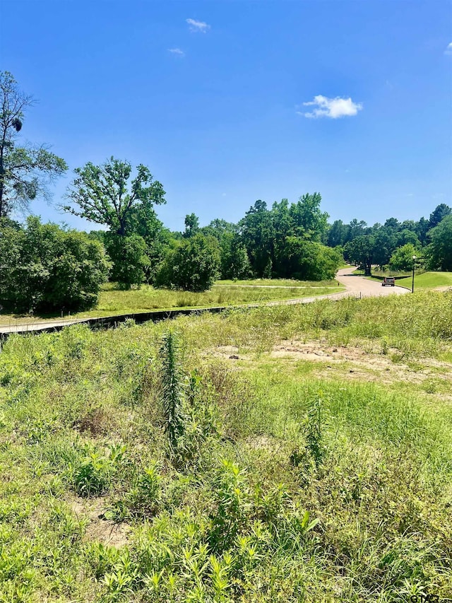 4212 Hogan Dr, Tyler, TX 75709