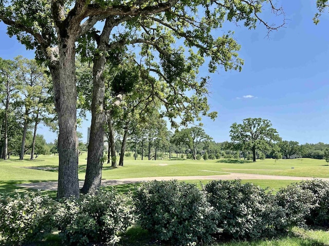 4212 Hogan Dr, Tyler, TX 75709
