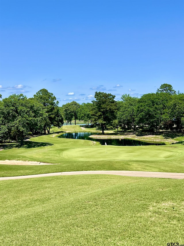 4212 Hogan Dr, Tyler, TX 75709