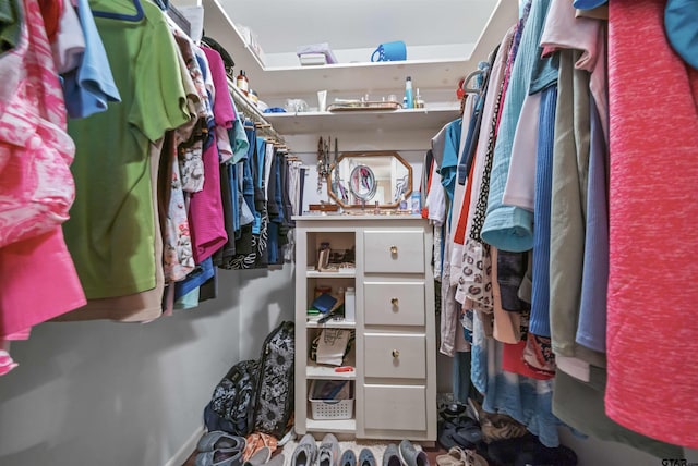 view of spacious closet