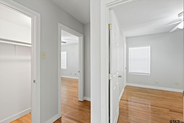 616 Arizona Ave, Wake Village, TX 75501 - hallway featuring light wood finished floors and baseboards