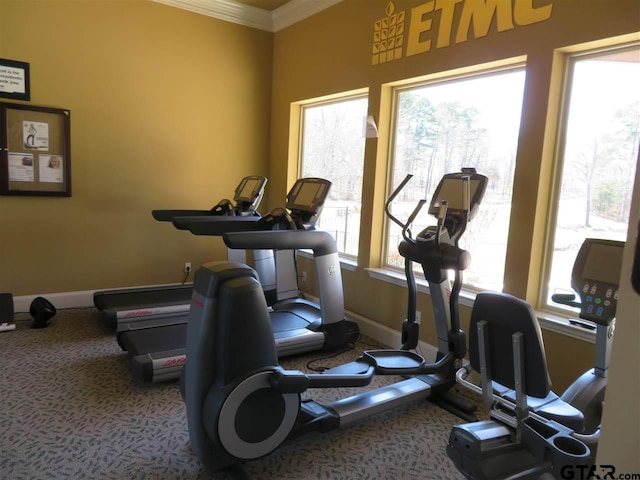 954 La Vista Dr, Tyler, TX 75703 - workout area featuring crown molding, carpet flooring, and baseboards