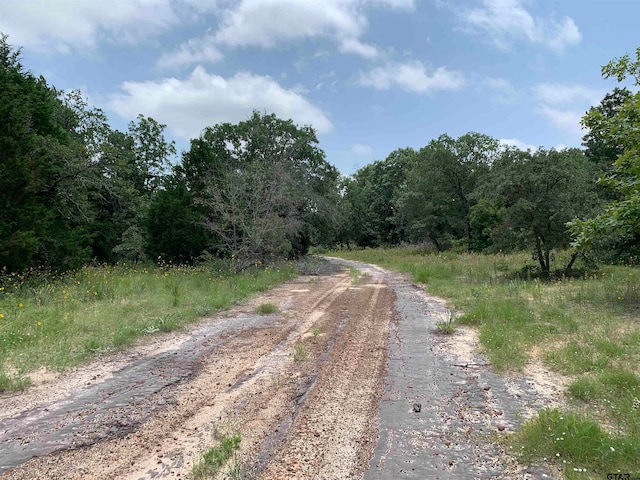 Listing photo 3 for TBD Fm 2494, Athens TX 75751