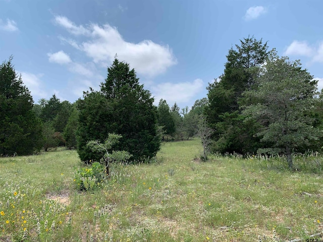 Listing photo 2 for TBD Fm 2494, Athens TX 75751